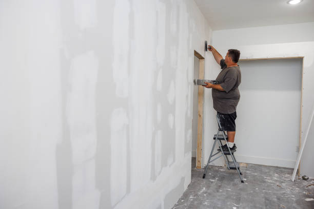 Best Painting for New Construction  in Fruitland, MD